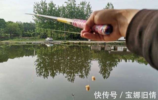 只要这么做,偷驴也能快速聚鱼、快速发窝