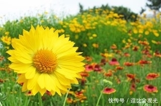 生肖|十月底起添财添福，真爱找上门，事业前程似锦，好运不断的3生肖