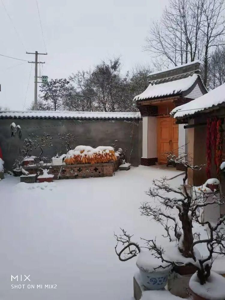 初雪|缑瑞芳‖初雪，那一抹浅忆