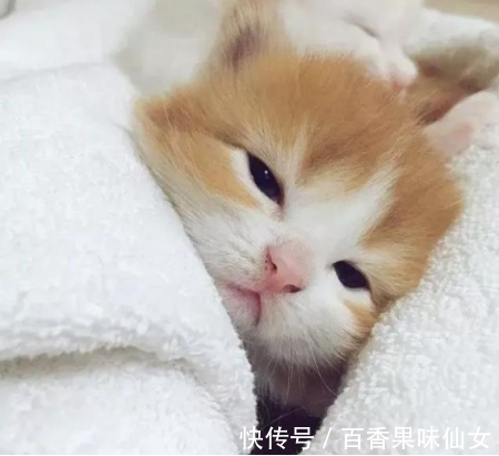 卸妆油|盘点5款高“性价比”护肤品,虽没名气,但用后发现是“天花板”