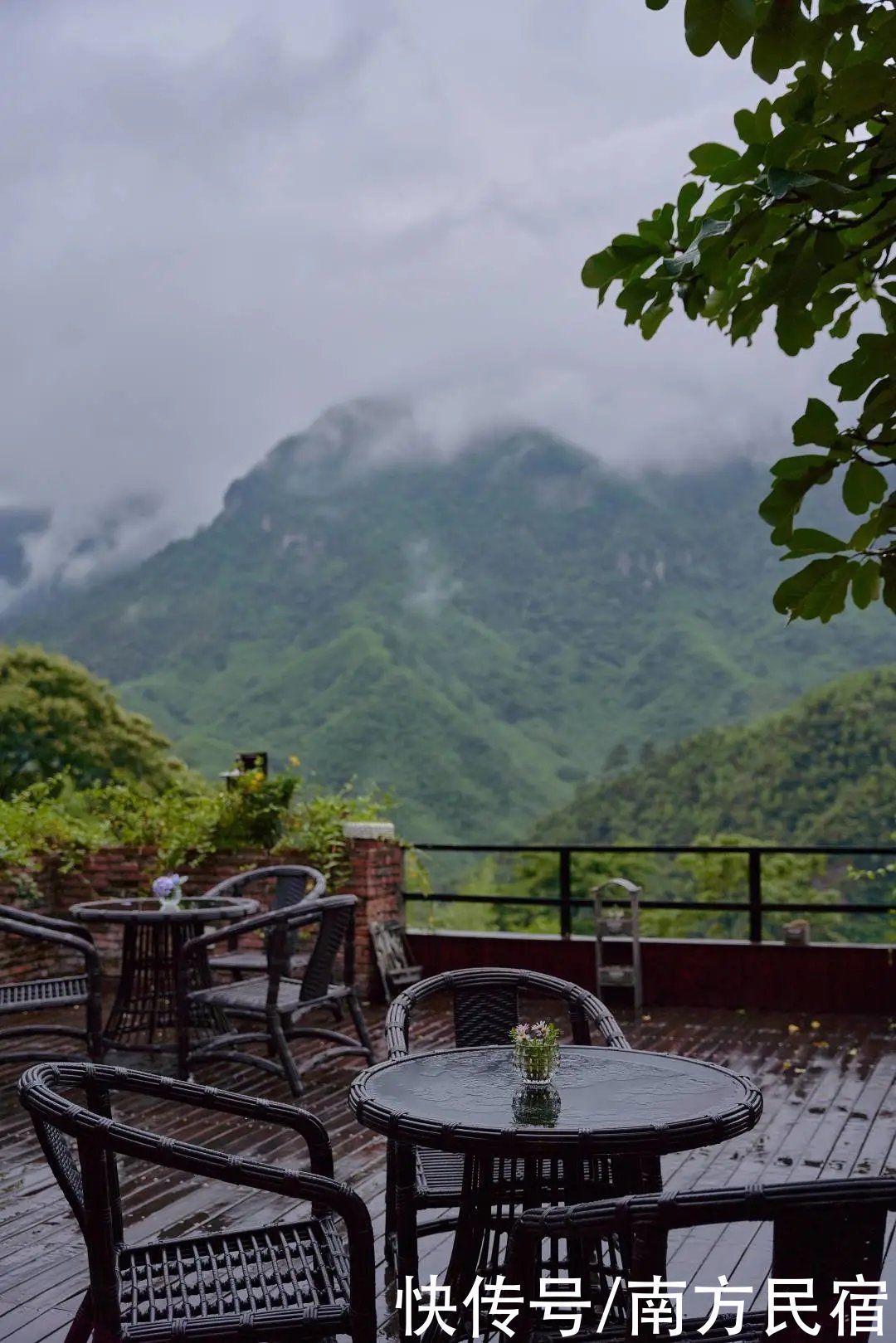 深山峡谷|藏于安吉深山峡谷的老树林避暑民宿，举目皆是绿野丨老树林