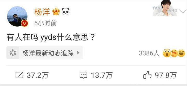 主编|主编说我在捡垃圾，因为我写文章用了「绝绝子」和 YYDS……