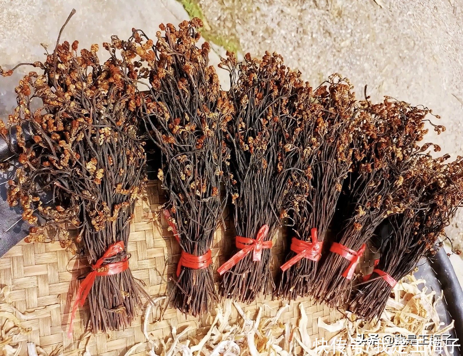 黄花菜|夏天,这5种蔬菜不拿来晒干就可惜了,正当季又便宜,炖肉吃特香