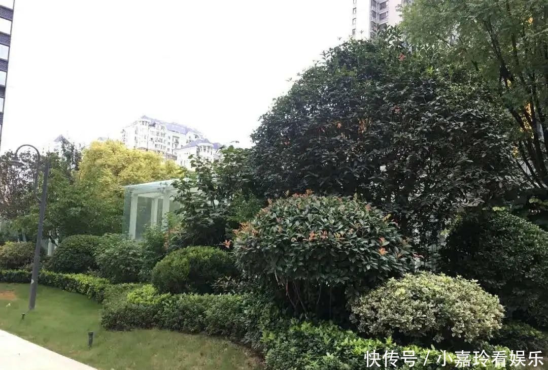开发商|房产证的重要性，你必须知道！丨买房涨知识
