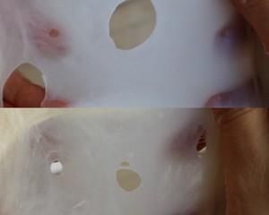 烫种方型白吐司—《银座顶级吐司》｜废话一箩筐的经验分享｜美瑛吐司/PullmanBread