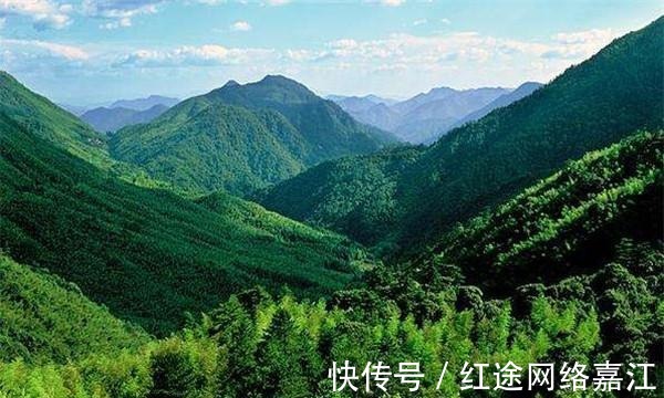 南平|南平最发达的5个县区 第5是武夷山, 第1是延平