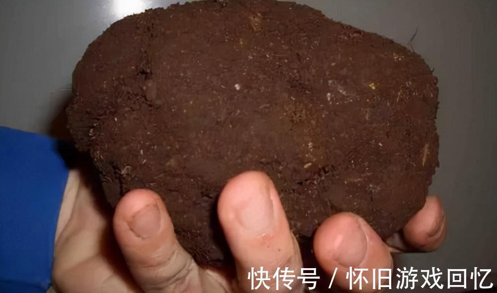 野钓试试这两种打窝方法,专门针对鲤鱼和草鱼,鱼口一竿接一竿