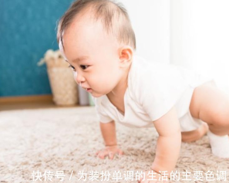 训练|多多练习“宝宝趴”,将来才能“宝宝爬”,这才是进阶训练