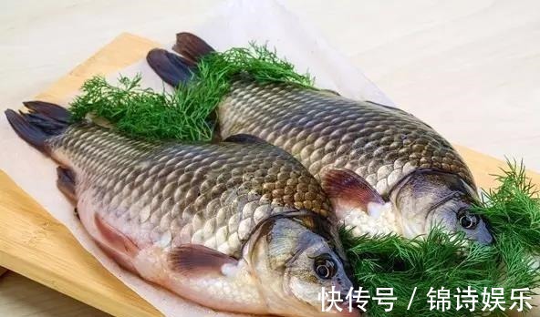 生鱼片|孕期吃鱼“有讲究”,这3种鱼最好少吃或者不吃,对胎儿有危害