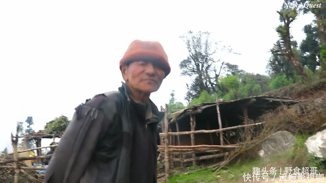 中国小伙在尼泊尔花8000卢比买下一头羊,请当地老人吃羊肉