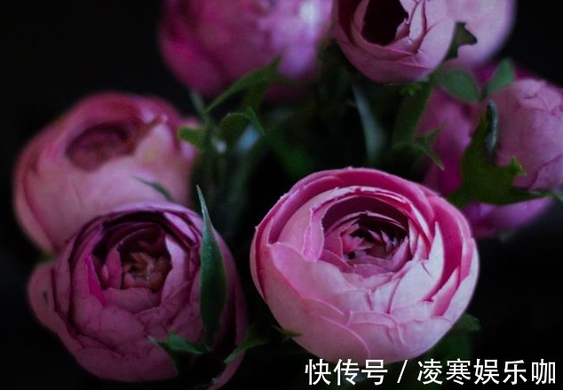 生肖|夫妻是以下三对生肖组合的,吵不散情谊,分不开的幸福