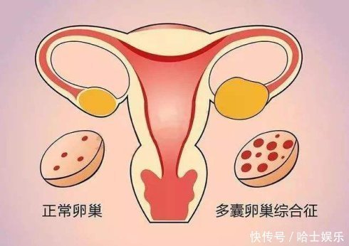 医生不建议婴儿查过敏源的原因