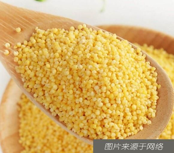 早知|爱喝小米粥的人,长寿不会远离你,但勿和此物搭配,早知早好