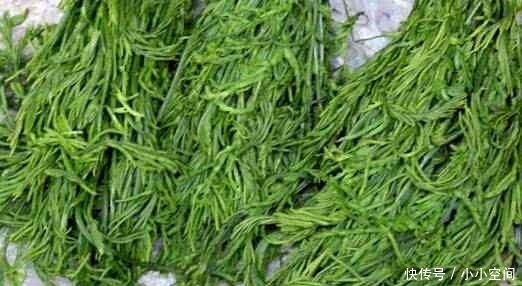 陟彼南山|它过了夏天吃不到,现在最好吃,纯天然无污染,再贵也要吃!