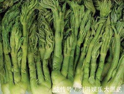 刺嫩芽|农村这种野草，价值堪比人参，被誉为“野菜之王”，卖到60元一斤