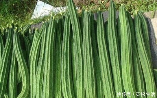 健康|吃了丝瓜以后,一定别食用此种食物,为了健康着想,记得要忌口