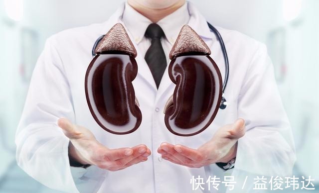 肾小球|高血压10年才能伤肾医生并不是！远离肾衰竭3点至关重要