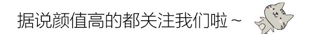 a266|盘点一代数码宝贝中出现的进化分支，仅有这两兄妹的数码宝贝