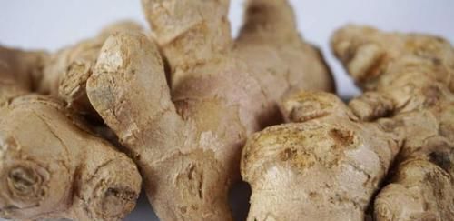 生姜保鲜不要总给冰箱放,老农民的土方法,随吃随取,特别新鲜