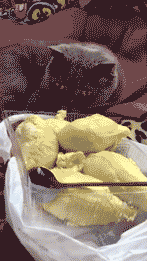 |搞笑GIF趣图:这车货太多了,我得先躺下歇一会儿