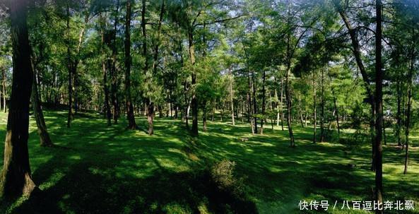 中国的避暑之都：生活节奏慢物价低气候更宜人，夏季旅游首选地