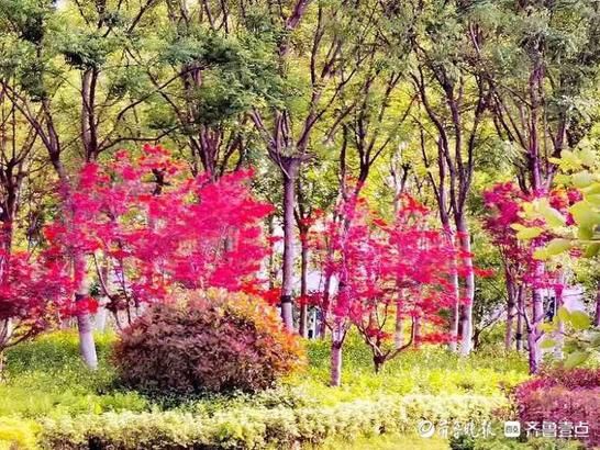 阵雨过后的华山湖公园