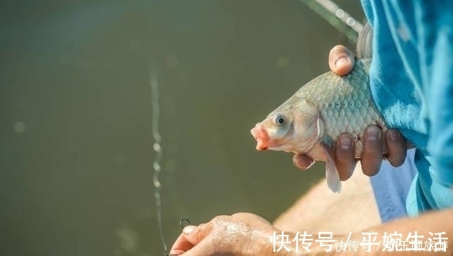 钓鱼可能从来没有想过认真分析这两点,这才是夏季获鱼的要点所在