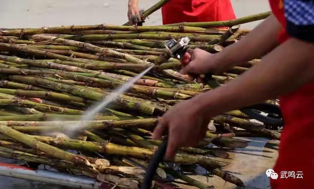  红糖|甜得香醇！这延续了千年的武鸣好味道，绝对值得你来打call