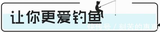 肥猫|应对冬季特有的鱼情变化,掌握这几点大鲫鱼连竿上!