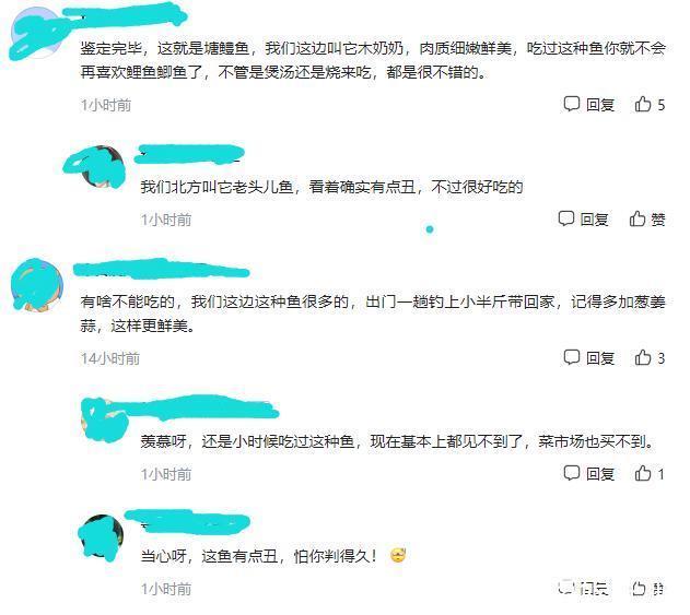 土憨巴|深圳一钓鱼人钓获呆子鱼，又黑又丑担心不能吃，网友：多加葱姜蒜