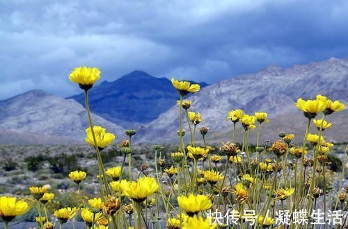 淘金队|死亡之谷：最令人畏惧的沙漠，你觉得你能走的出去？