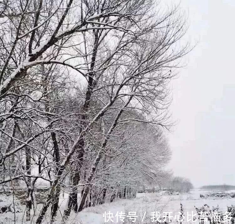 春雪&冬柳诗三首，零落衰条含蕴春意，白雪却嫌春色晚，故穿庭树作飞花