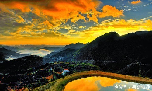 古人往井里放2只小乌龟,到底是为什么?看完真佩服古人的IQ!