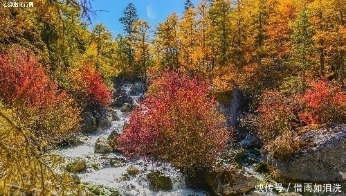 从你的全世界路过|中国最美赏秋之地，雪山下的秋色美如仙境，去过的游客都直呼太美！