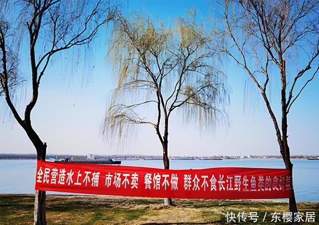 “垂钓”新花样挑战长江禁渔,不妨变堵为疏