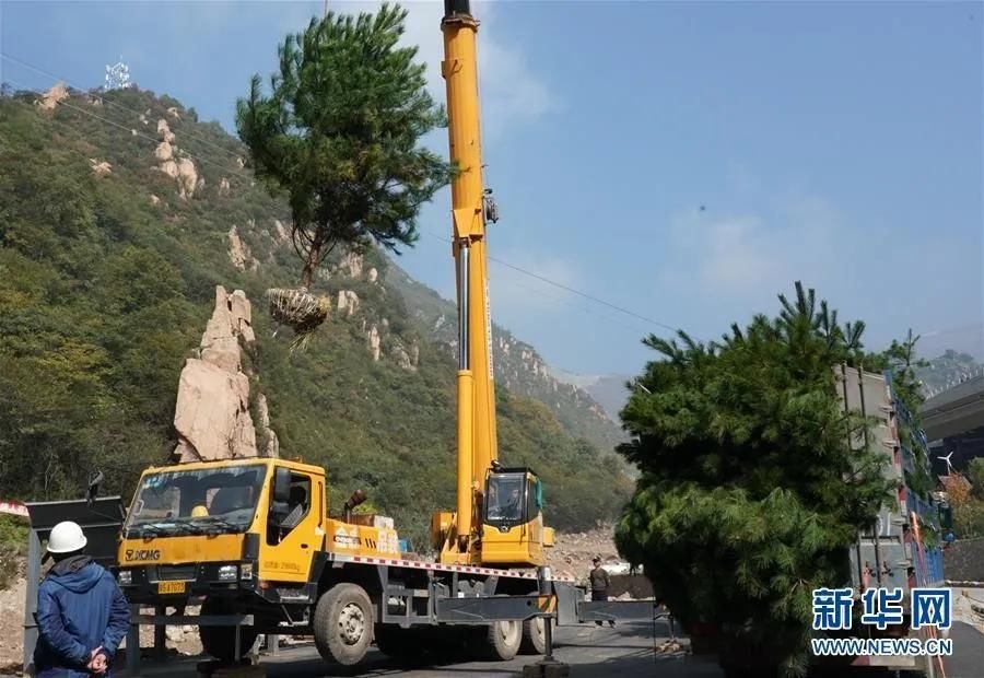 延庆这是要干什么？