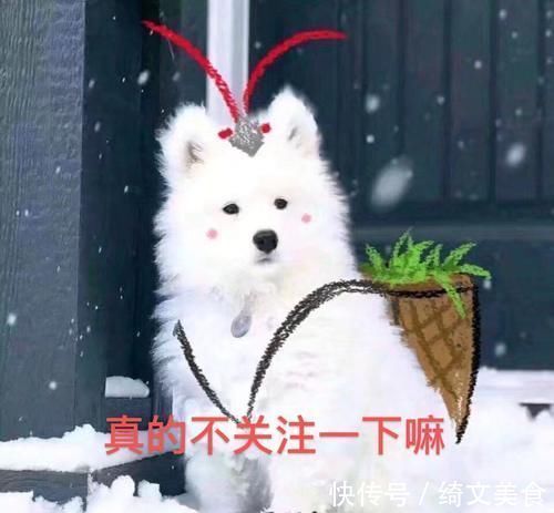 王牌6:關曉彤受懲罰,被要求曬最愛的人丑照,她竟沒有選擇鹿晗