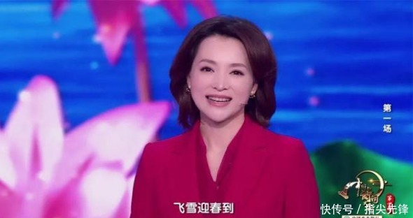 软绵绵 离开董卿的《中国诗词大会》,像庄稼遇到干旱,软绵绵