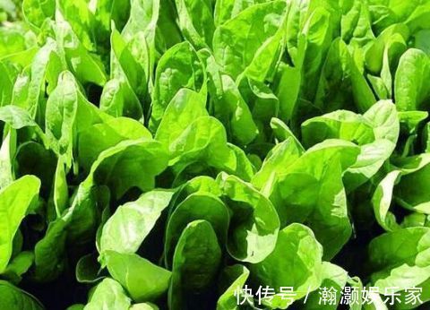 肝失疏泄|身体出现三种症状说明肝脏不好，快吃这些补一下！