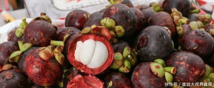 农村|看完农村大叔摘山竹,发现卖得贵也是情有可原,钱都花了它身上!