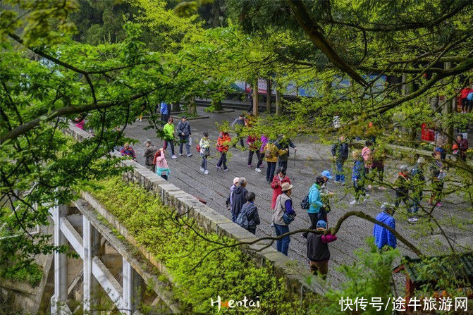 别墅|庐山三日行，追梦三叠泉