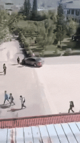 |搞笑GIF:大金毛估计是湖南的,四川重庆吃红辣椒,湖南就爱青椒