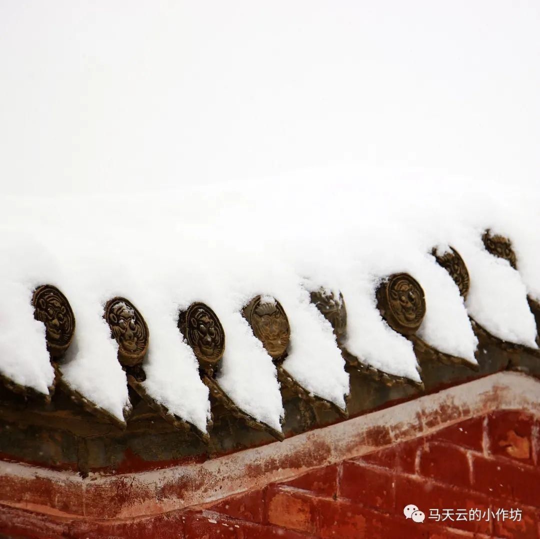 雪落贵清山|图胜千言| 雪落