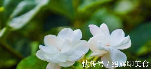 鲍鱼肉|每天晚上坚持吃3种食物，补充营养、淡化皱纹，爱吃就赚了！