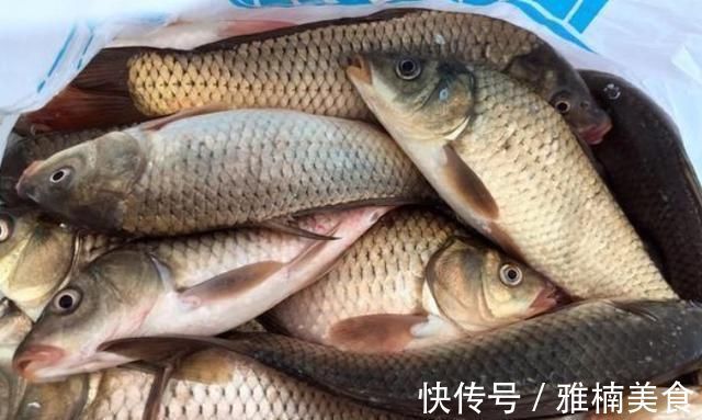 野钓|野钓打窝我绝不乱来牢牢记住这“八字诀”,不管在哪钓都能过瘾