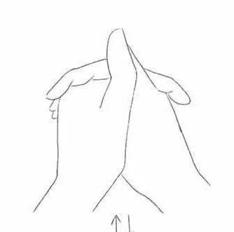 5指对五脏!5个手部小动作,疏通气血,调理脏腑,治病祛邪!