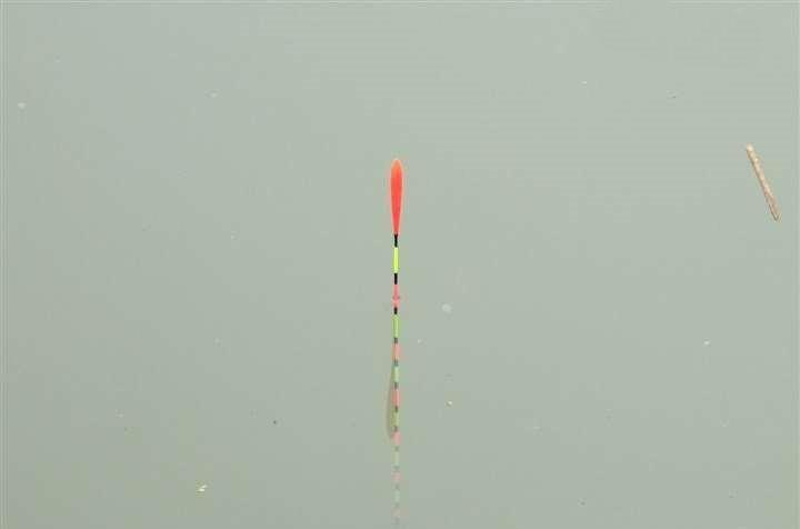 别再琢磨怎么调漂才精准，试试这种方法，不用调漂也能钓