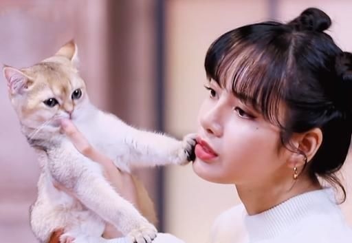 “青3”Lisa的危机感，你发现了吗明年或许不再担任导师了!