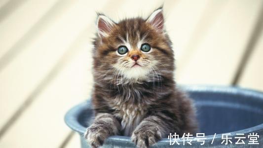 |幽默笑话:媳妇儿回娘家帮忙来不及回家,晚上我陪儿子睡觉