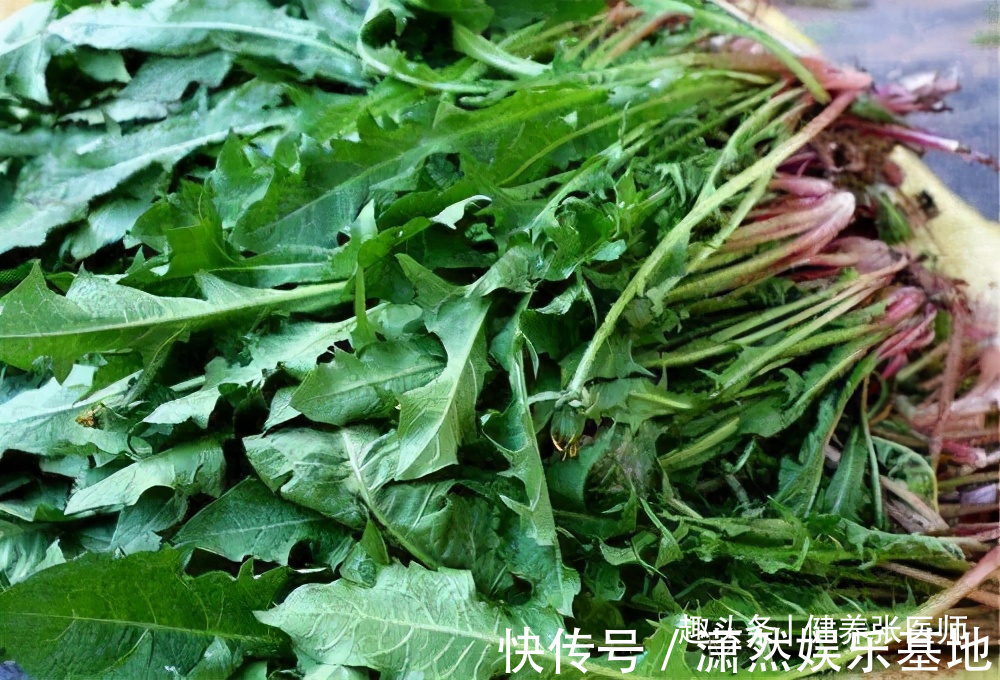 黄酮类化合物|女性不想变老,以下食物经常换,补血祛斑,滋阴养肾,改善失眠